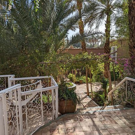 Villa Zagora Ma Villa Au Sahara Zewnętrze zdjęcie