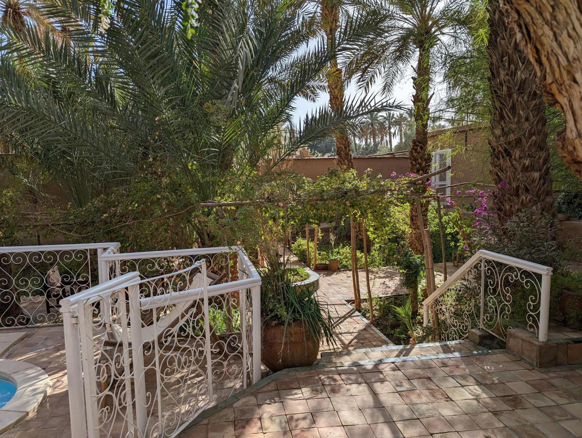 Villa Zagora Ma Villa Au Sahara Zewnętrze zdjęcie