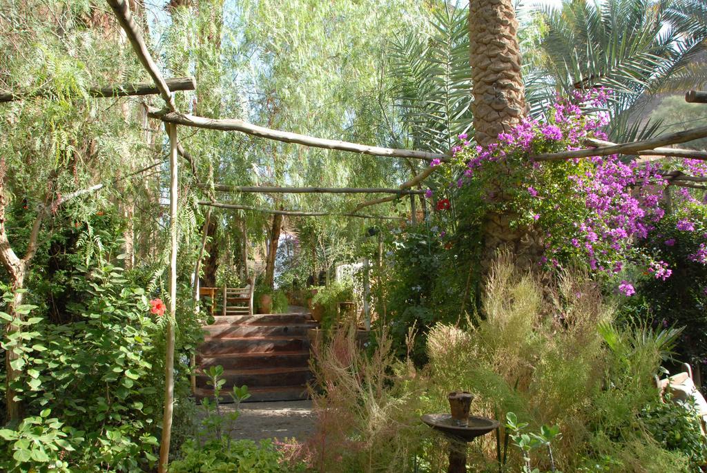 Villa Zagora Ma Villa Au Sahara Zewnętrze zdjęcie