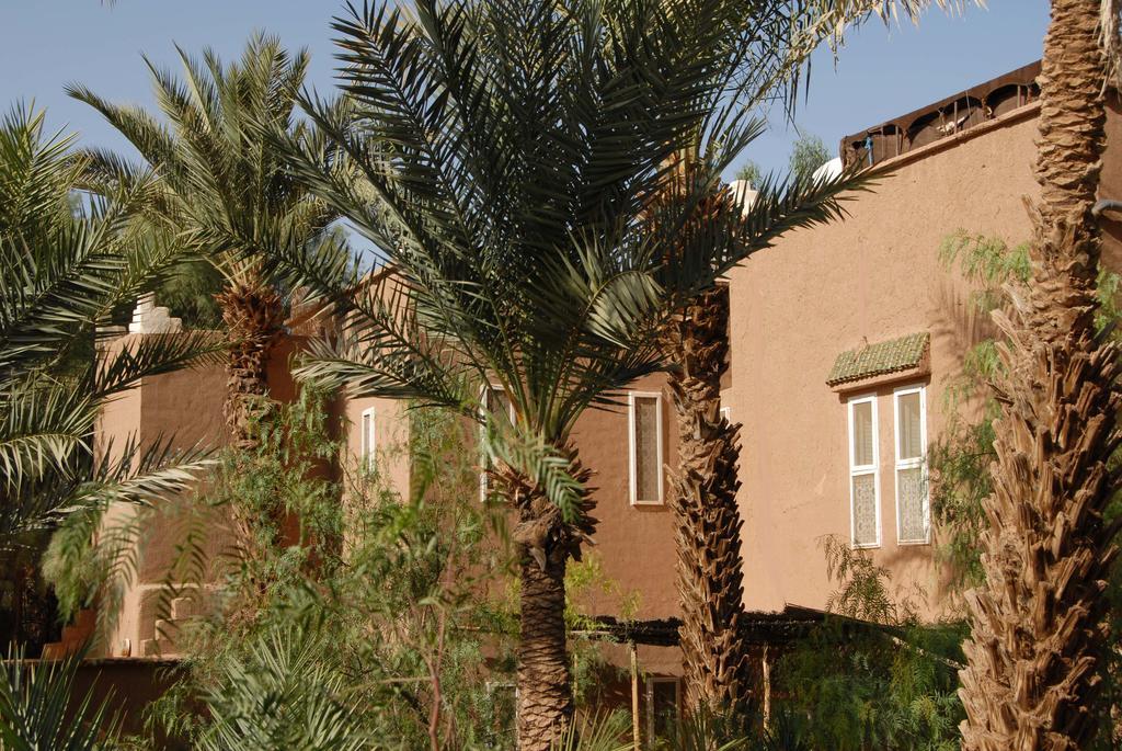 Villa Zagora Ma Villa Au Sahara Zewnętrze zdjęcie
