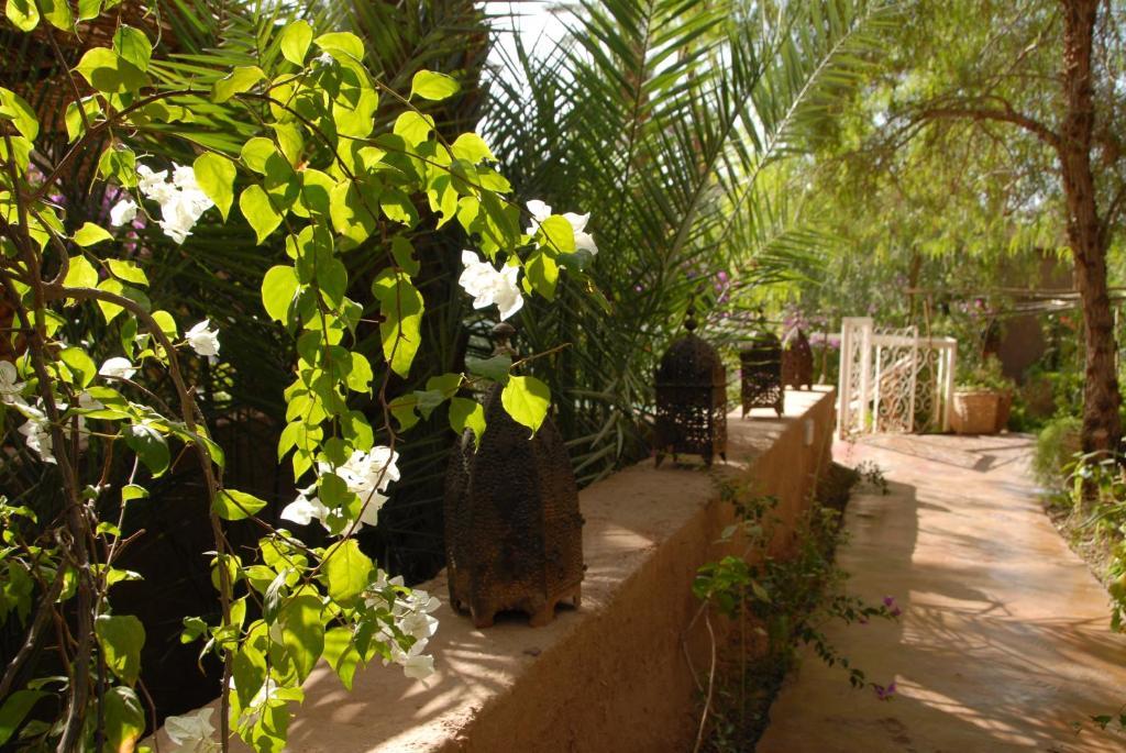 Villa Zagora Ma Villa Au Sahara Zewnętrze zdjęcie