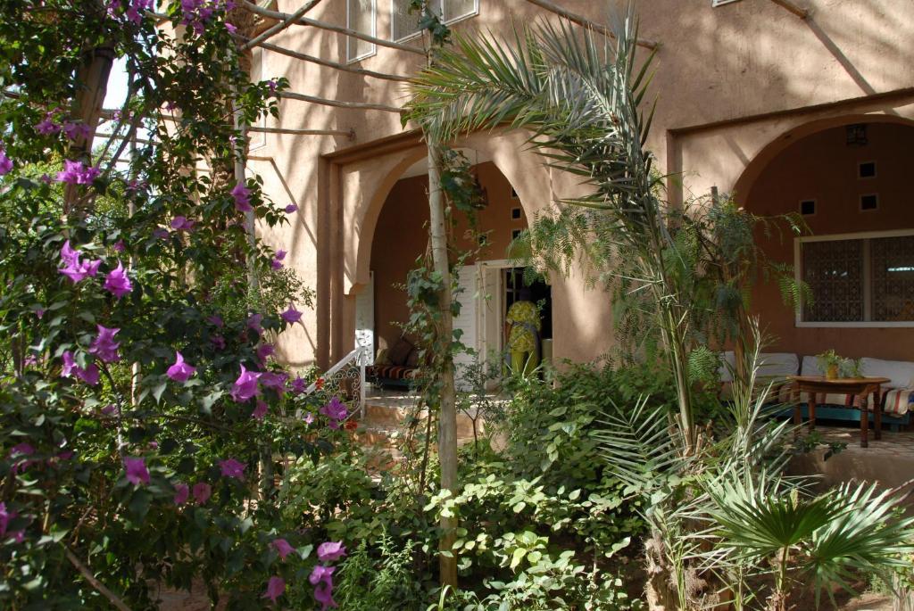 Villa Zagora Ma Villa Au Sahara Zewnętrze zdjęcie